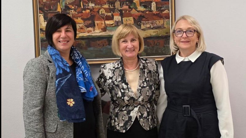 International inter-institutional...